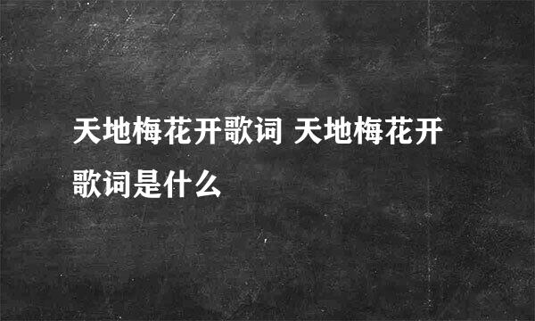 天地梅花开歌词 天地梅花开歌词是什么