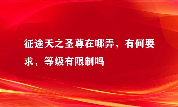 征途天之圣尊在哪弄，有何要求，等级有限制吗