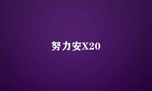 努力安X20