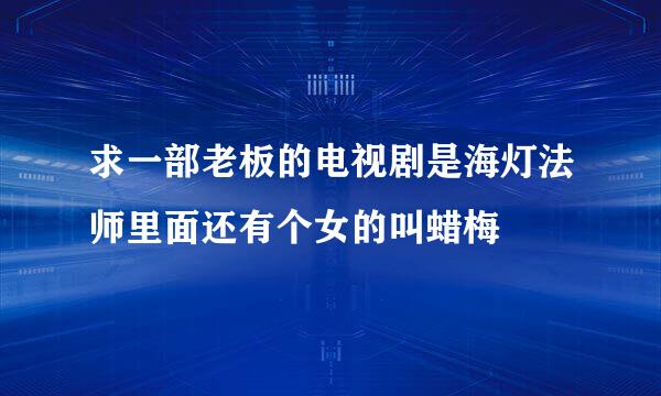 求一部老板的电视剧是海灯法师里面还有个女的叫蜡梅