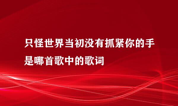 只怪世界当初没有抓紧你的手是哪首歌中的歌词