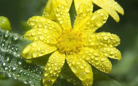 凉雨惊秋的意思是什么