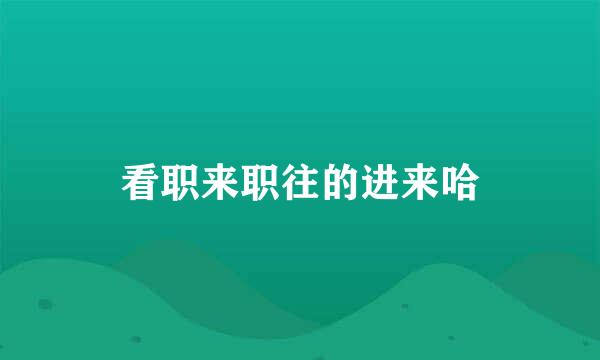 看职来职往的进来哈