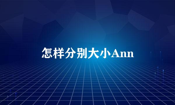 怎样分别大小Ann