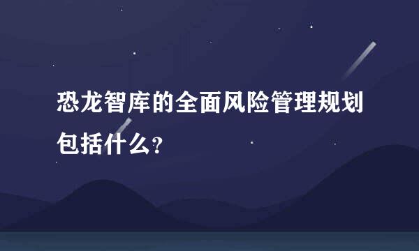 恐龙智库的全面风险管理规划包括什么？