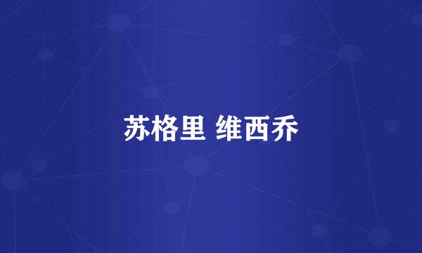 苏格里 维西乔