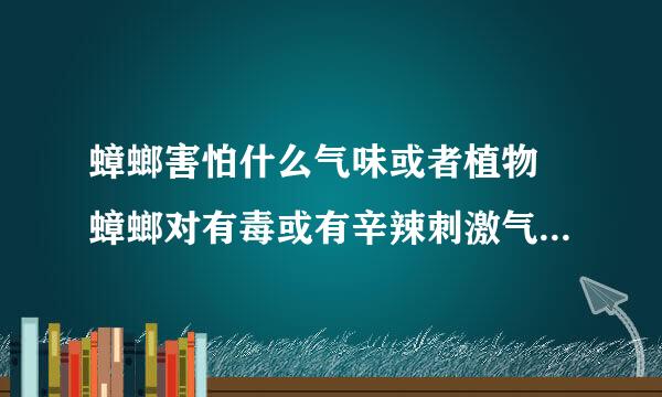 蟑螂害怕什么气味或者植物 蟑螂对有毒或有辛辣刺激气味的植物特别敏感对吗