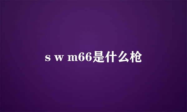 s w m66是什么枪