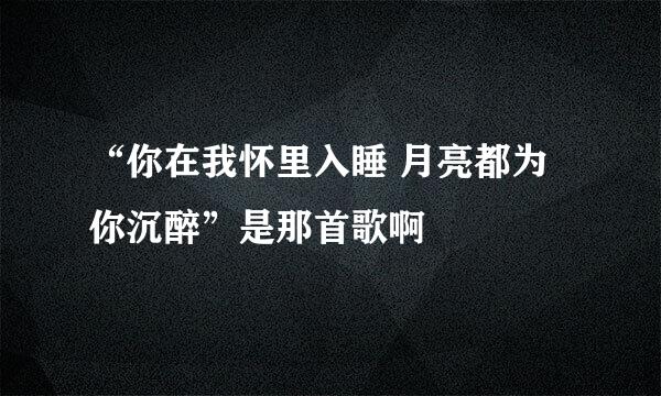 “你在我怀里入睡 月亮都为你沉醉”是那首歌啊