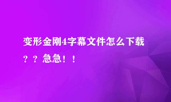 变形金刚4字幕文件怎么下载？？急急！！