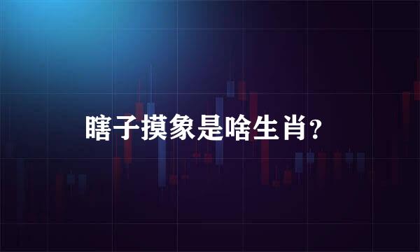 瞎子摸象是啥生肖？