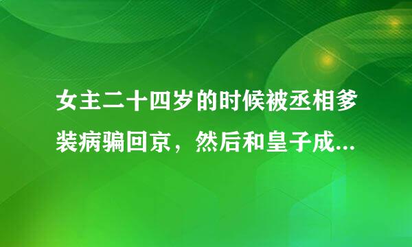 女主二十四岁的时候被丞相爹装病骗回京，然后和皇子成亲了，但是最后