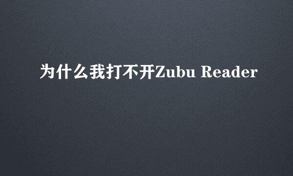 为什么我打不开Zubu Reader