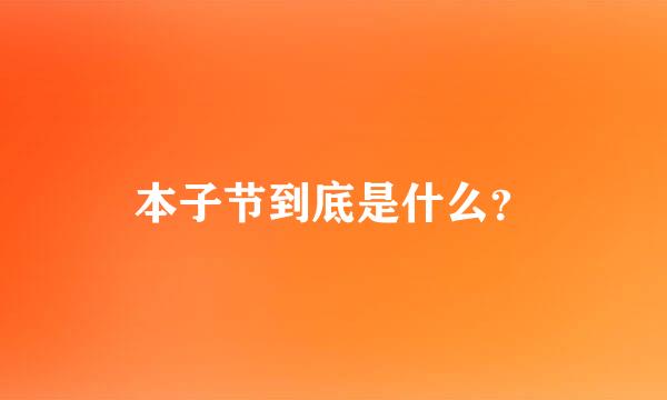 本子节到底是什么？