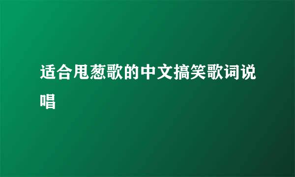 适合甩葱歌的中文搞笑歌词说唱