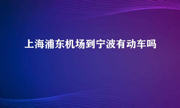 上海浦东机场到宁波有动车吗