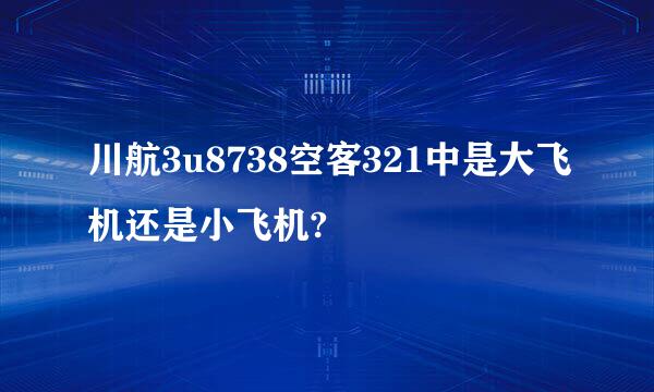 川航3u8738空客321中是大飞机还是小飞机?