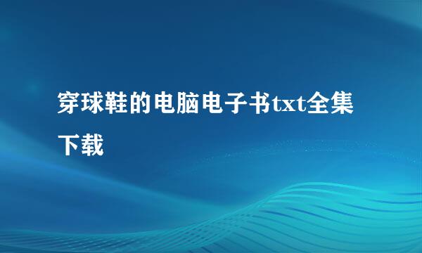 穿球鞋的电脑电子书txt全集下载