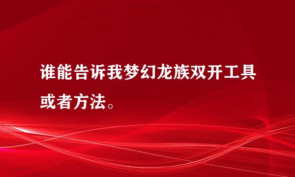 谁能告诉我梦幻龙族双开工具或者方法。