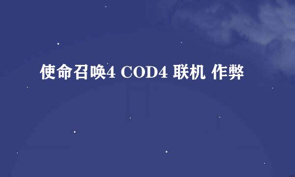 使命召唤4 COD4 联机 作弊