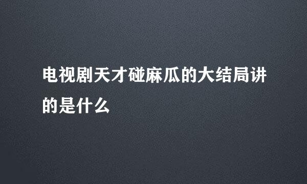 电视剧天才碰麻瓜的大结局讲的是什么