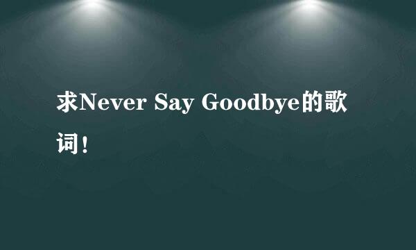 求Never Say Goodbye的歌词！