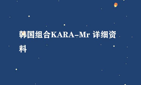 韩国组合KARA-Mr 详细资料