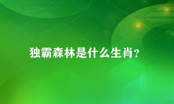 独霸森林是什么生肖？