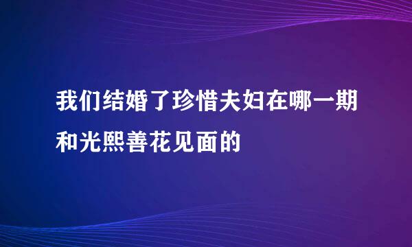 我们结婚了珍惜夫妇在哪一期和光熙善花见面的