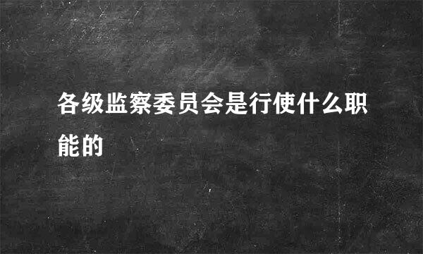 各级监察委员会是行使什么职能的