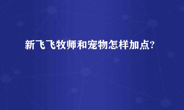 新飞飞牧师和宠物怎样加点?