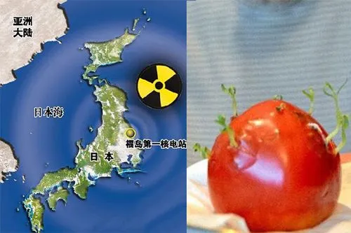 台进口福岛核食检出放射物，为开放后首例，日本食品还能吃吗？