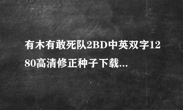 有木有敢死队2BD中英双字1280高清修正种子下载，好东西大家分享