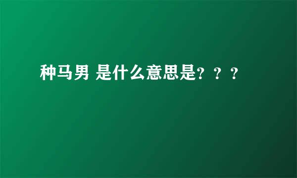 种马男 是什么意思是？？？