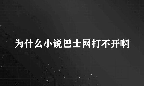 为什么小说巴士网打不开啊