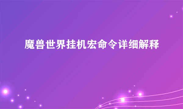 魔兽世界挂机宏命令详细解释