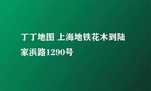 丁丁地图 上海地铁花木到陆家浜路1290号