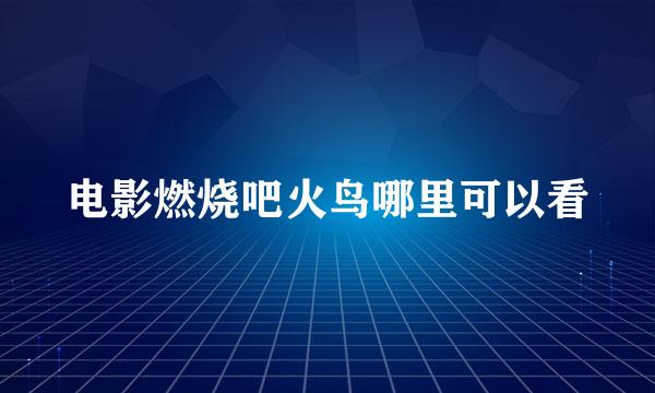 电影燃烧吧火鸟哪里可以看