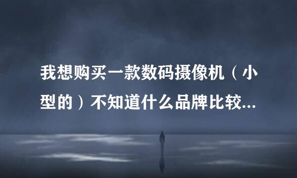 我想购买一款数码摄像机（小型的）不知道什么品牌比较好，性能好