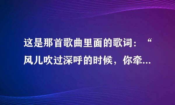 这是那首歌曲里面的歌词：“风儿吹过深呼的时候，你牵着我的手，宽宽草原我为你停留