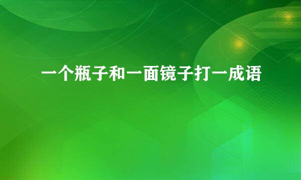 一个瓶子和一面镜子打一成语