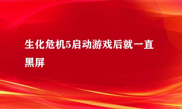 生化危机5启动游戏后就一直黑屏