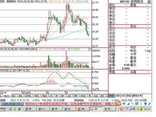 路翔股份有限公司的发展历程