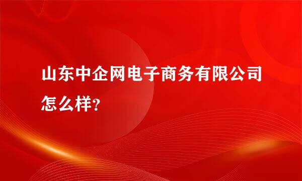 山东中企网电子商务有限公司怎么样？