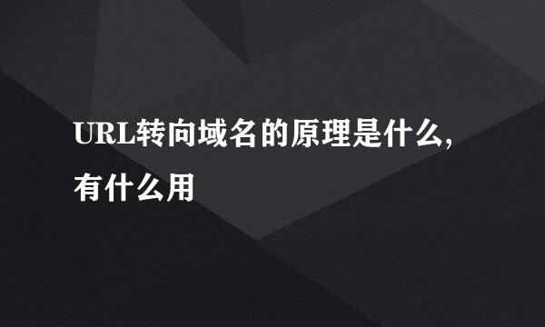 URL转向域名的原理是什么,有什么用