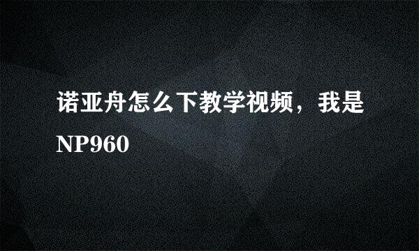 诺亚舟怎么下教学视频，我是NP960