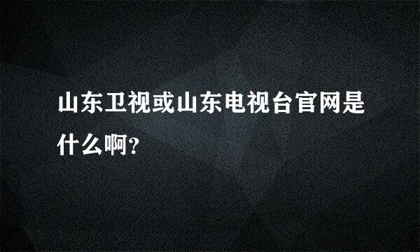 山东卫视或山东电视台官网是什么啊？