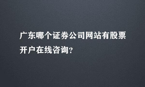 广东哪个证券公司网站有股票开户在线咨询？