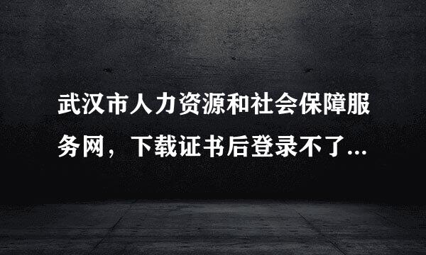 武汉市人力资源和社会保障服务网，下载证书后登录不了是什么原因？