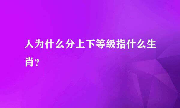 人为什么分上下等级指什么生肖？